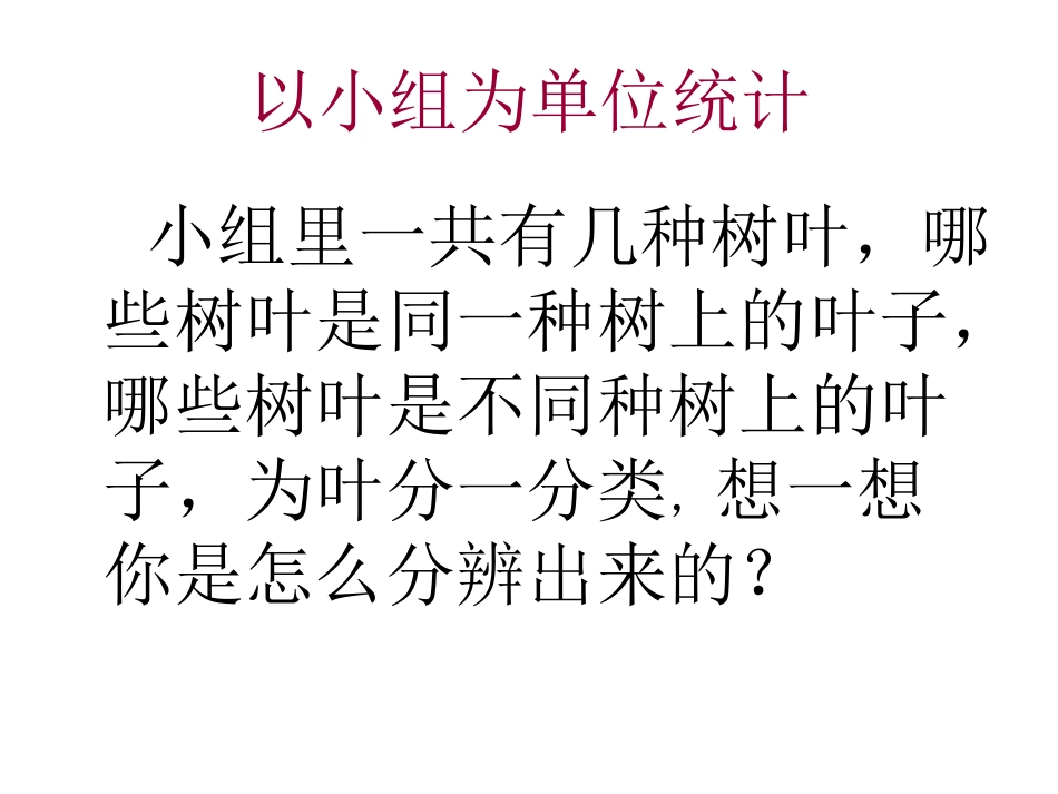 《植物的叶》课件_第2页