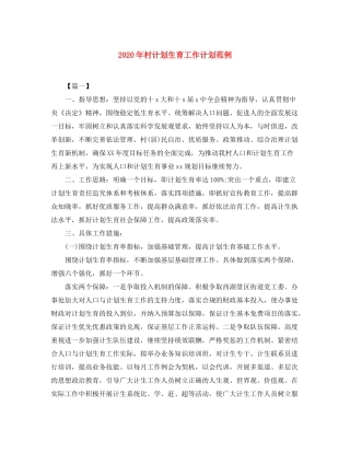 2020年村计划生育工作计划范例
