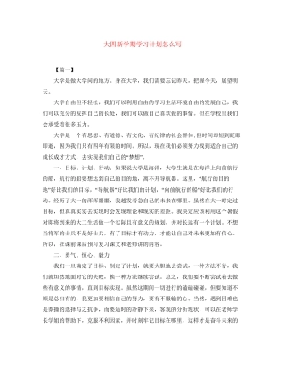 大四新学期学习计划怎么写