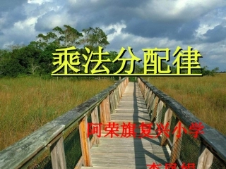《乘法分配律》PPT课件 (2)
