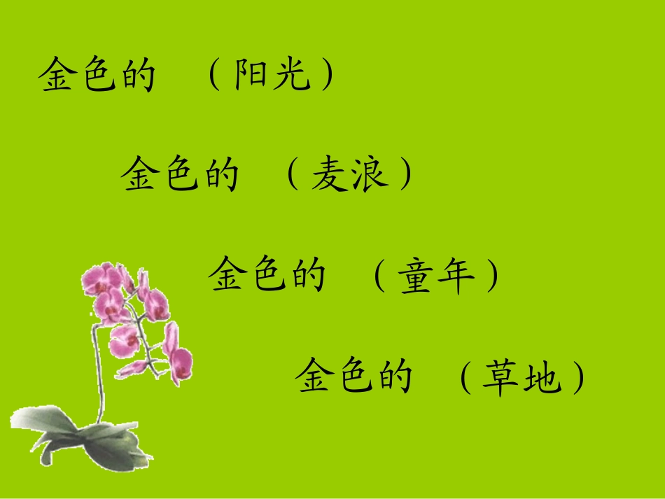 三年级上语文课件-金色的草地-人教版_第2页