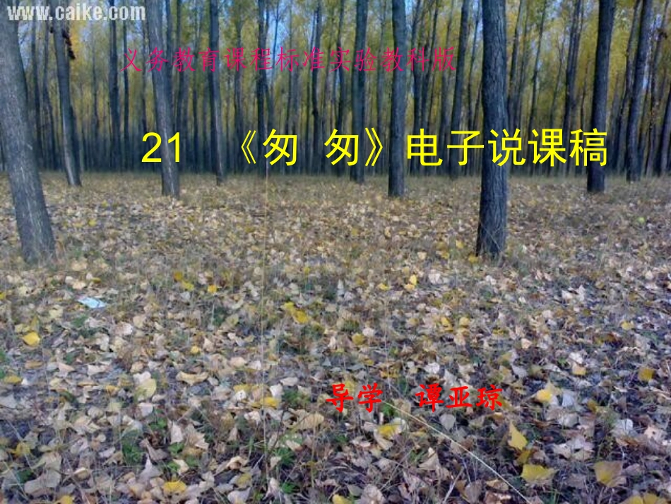 谭亚琼匆匆说课课件3_第1页