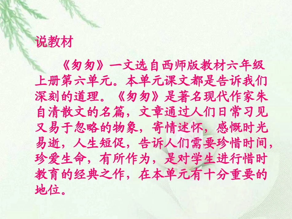 谭亚琼匆匆说课课件3_第2页