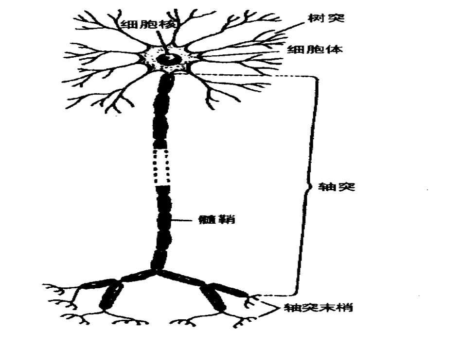 阳光心态是心理健康的基石_第3页