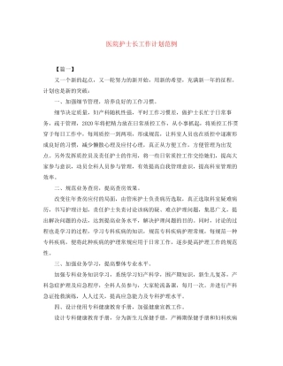 医院护士长工作计划范例