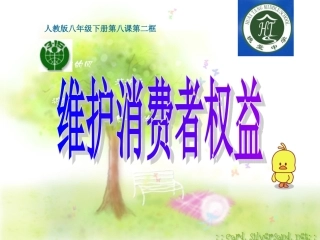 维护消费者权益 (2)