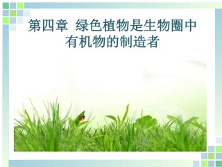 七年级绿色植物是生物圈中有机物的制造者