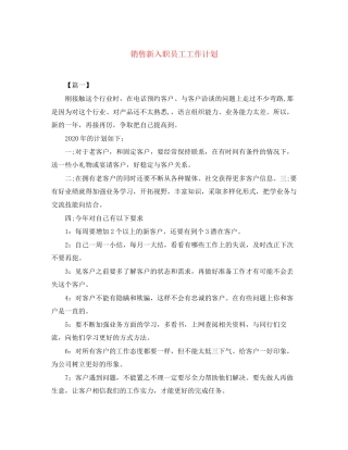 销售新入职员工工作计划