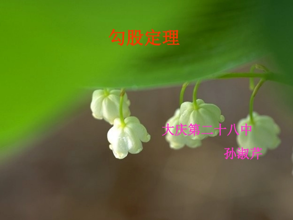 勾股定理说课_第1页