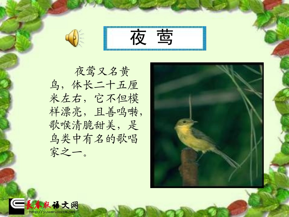 长春版六年级上册《夜莺的歌声》PPT课件 (3)_第2页
