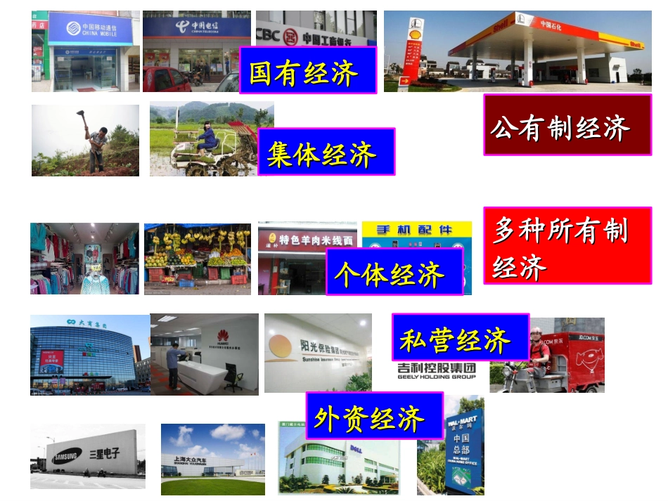 黑龙江省大庆市育才中学人教版高一政治必修一课件：42我国的基本经济制度(共58张PPT)_第2页