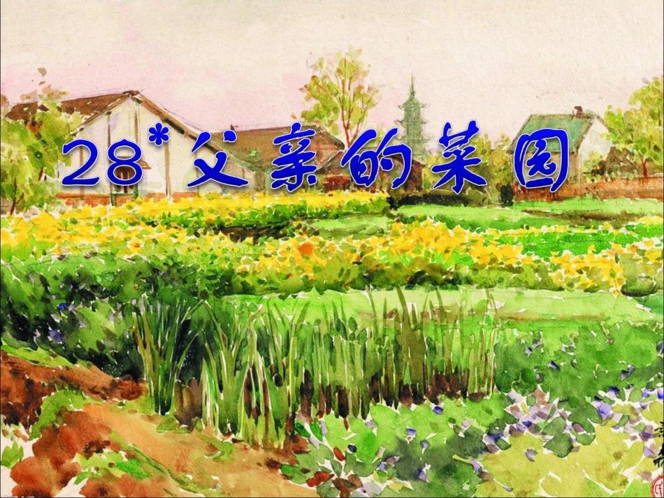 《父亲的菜园》PPT课件_第1页