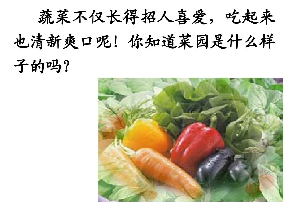 《父亲的菜园》PPT课件_第2页