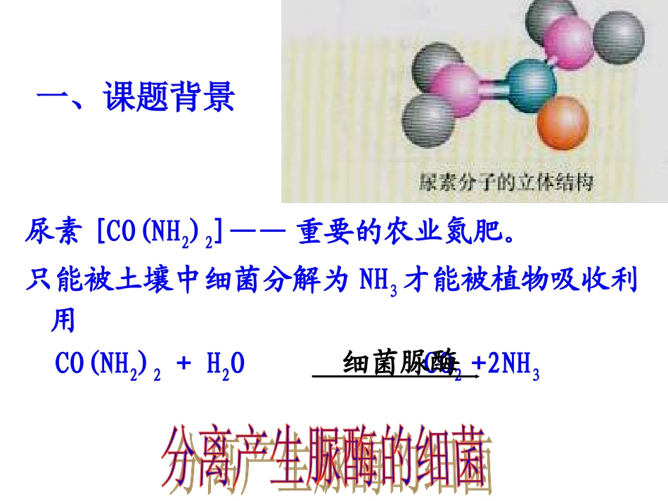 土壤中分解尿素的细菌的分离与计数_第2页