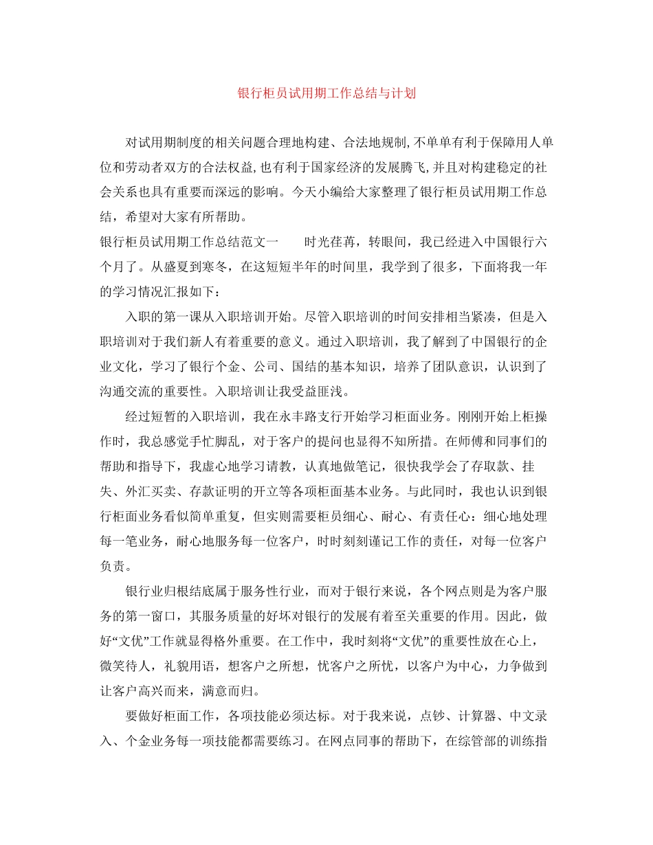 银行柜员试用期工作总结与计划_第1页