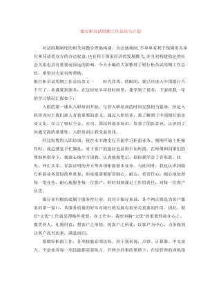 银行柜员试用期工作总结与计划