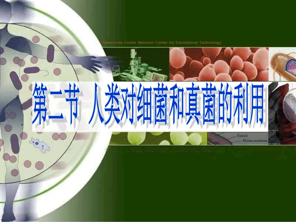 九：人类对细菌和真菌的利用2014_第1页