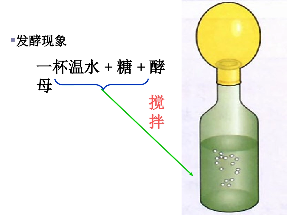 九：人类对细菌和真菌的利用2014_第2页