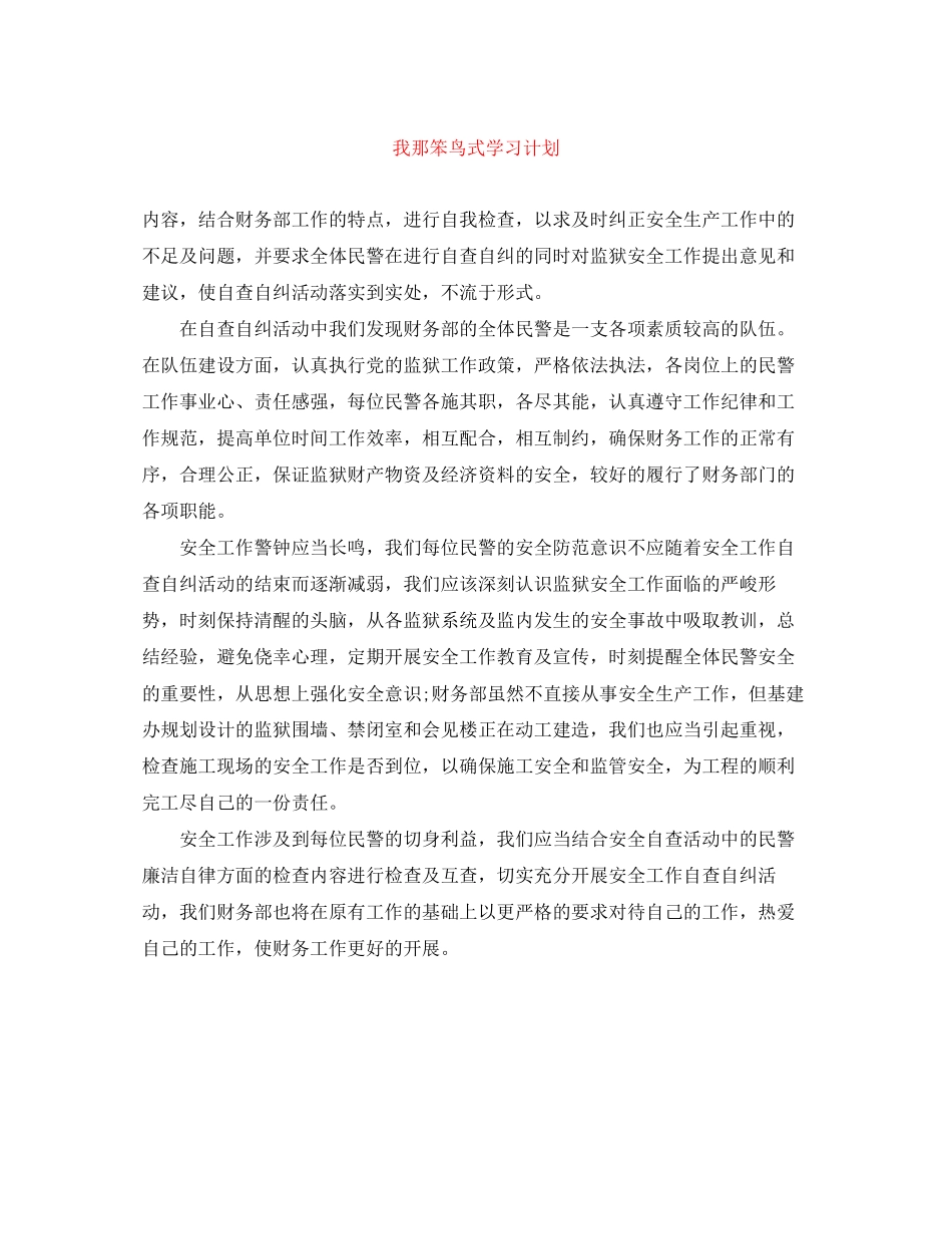 我那笨鸟式学习计划_第1页