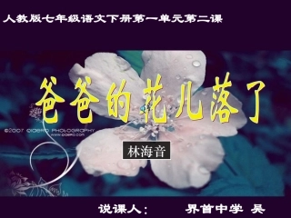 爸爸的花儿落了说课2