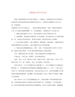 乡镇挂职干部工作计划
