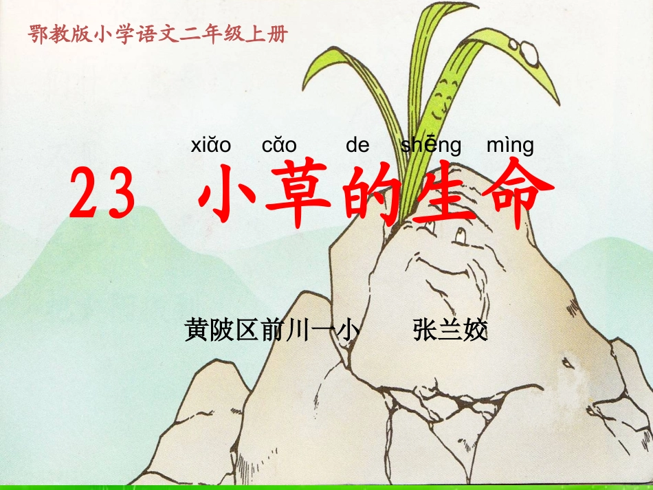 《小草的生命》课件_第1页