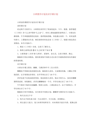 小班教学计划及识字课计划