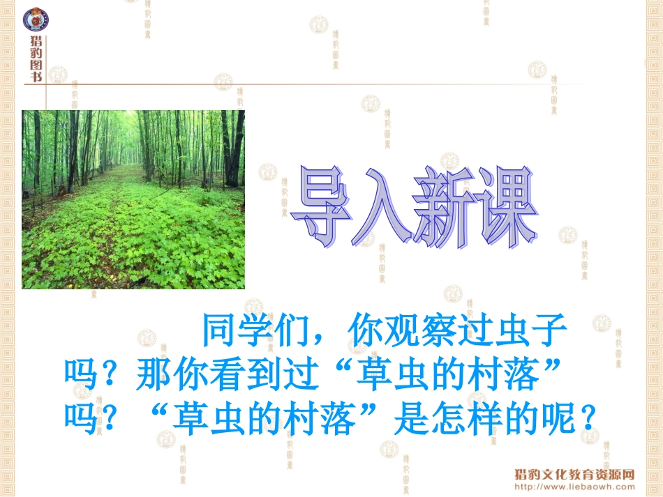 草虫的村落课件 (3)_第2页