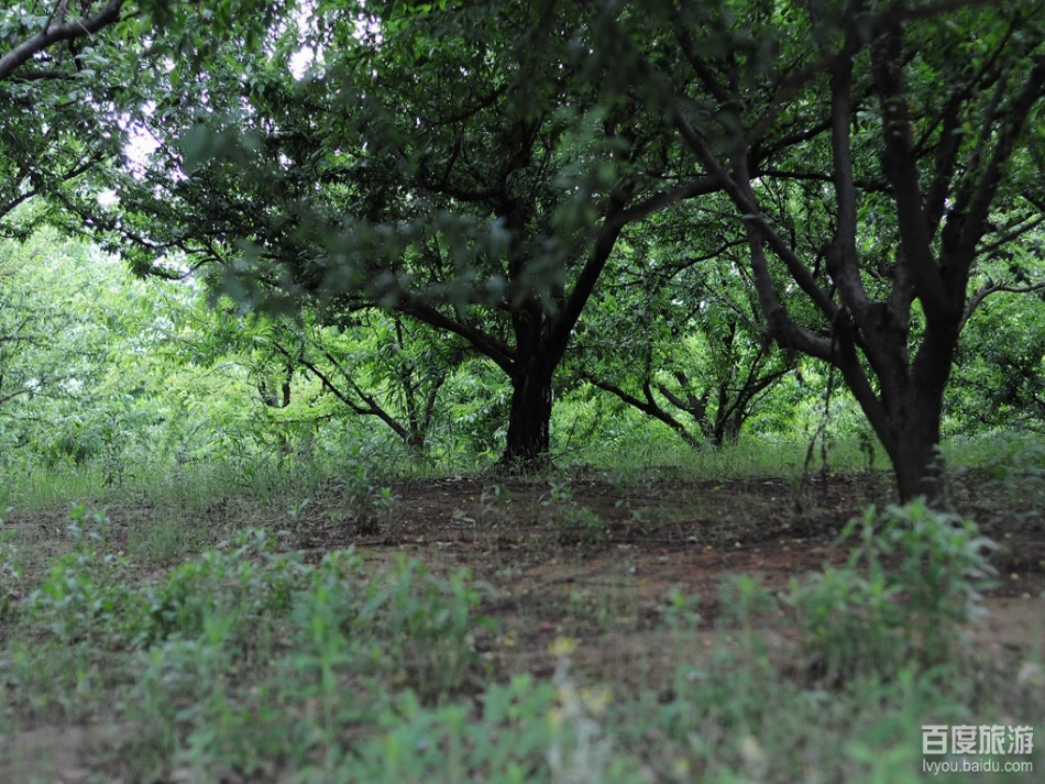 《独坐敬亭山》完整版课件_第3页