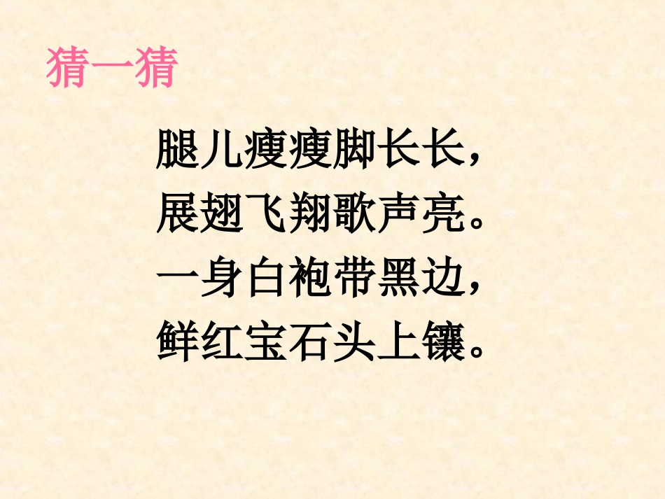 美丽的丹顶鹤第一课时_第2页