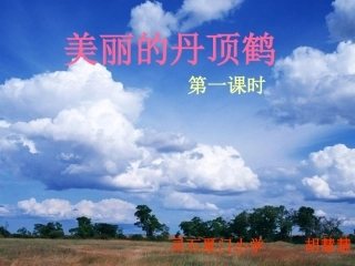 美丽的丹顶鹤第一课时