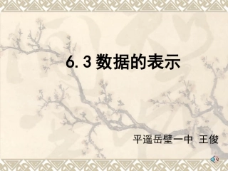 数据的表示课件