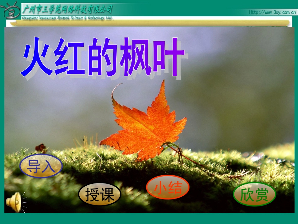 bsdyw02010102火红的枫叶_第1页