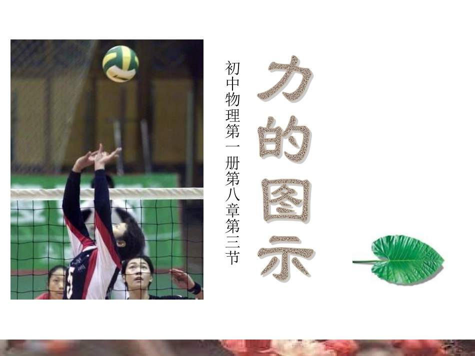 八年级物理力的图示_第1页