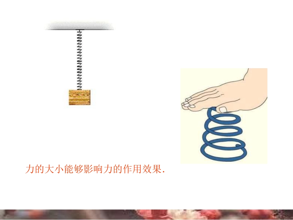 八年级物理力的图示_第2页