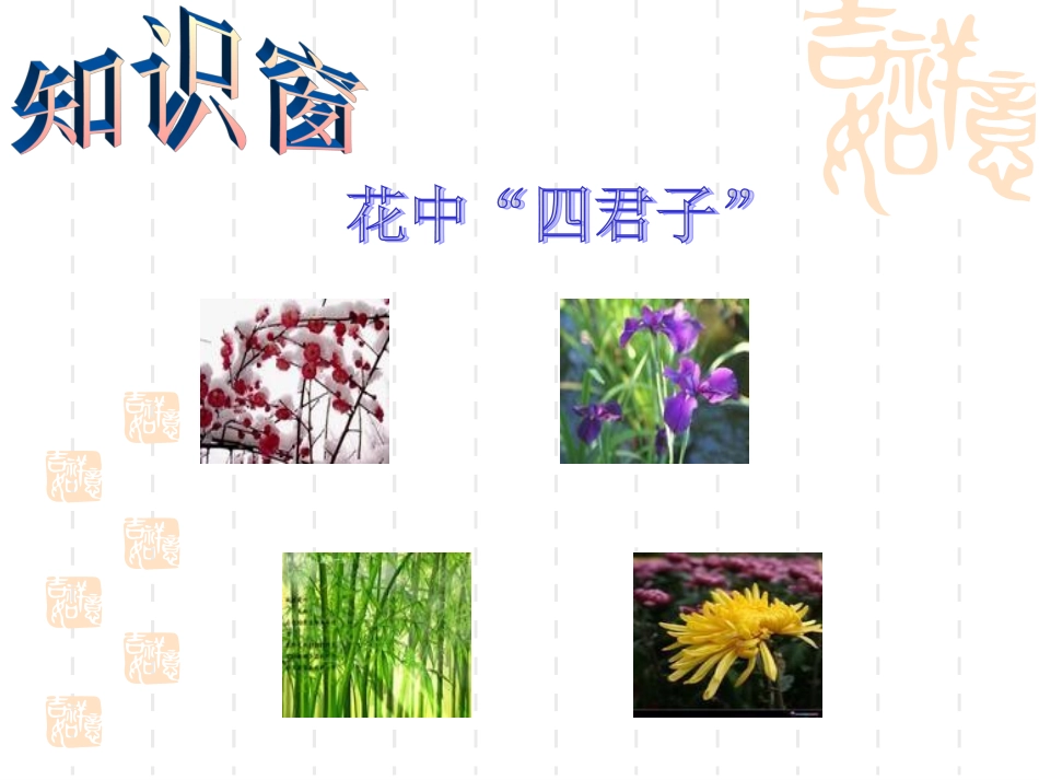 语文七色光三_第3页