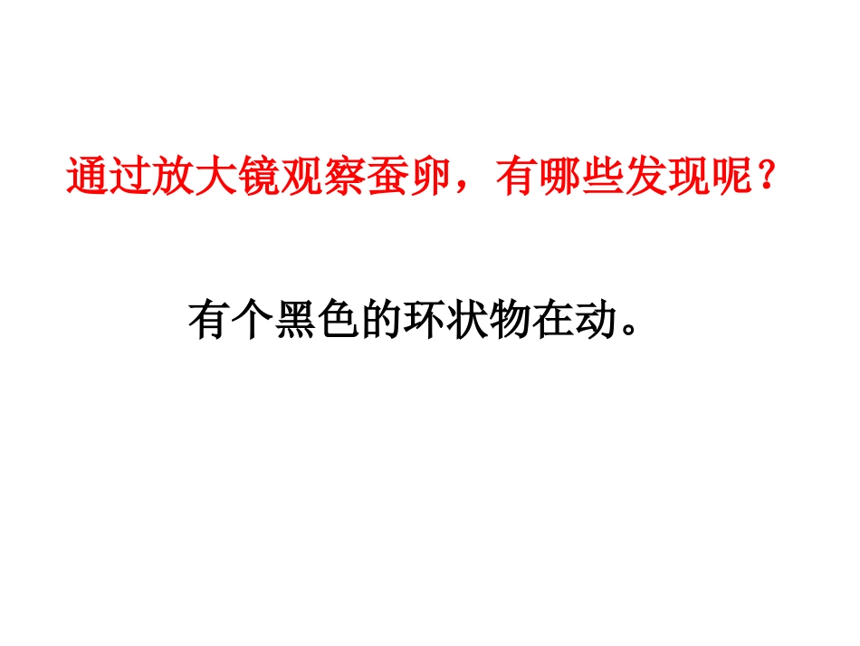 蚕卵中的新生命 (2)_第3页