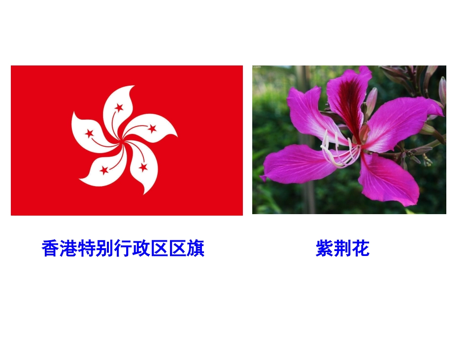 苏教版三年级语文上册-东方之珠课件_第3页