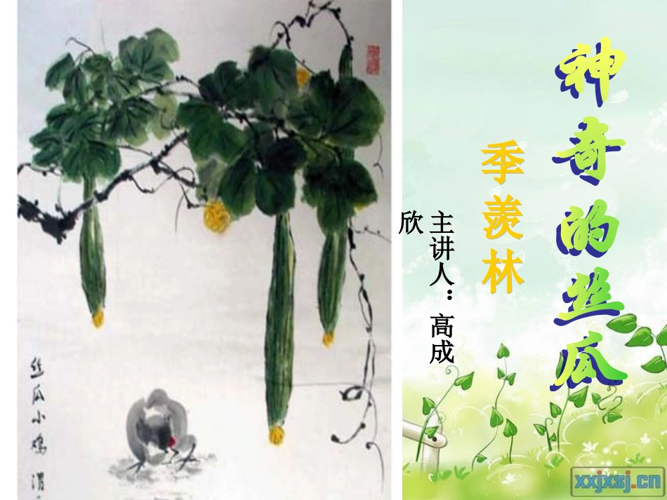 《神奇的丝瓜》完整版 (2)_第1页