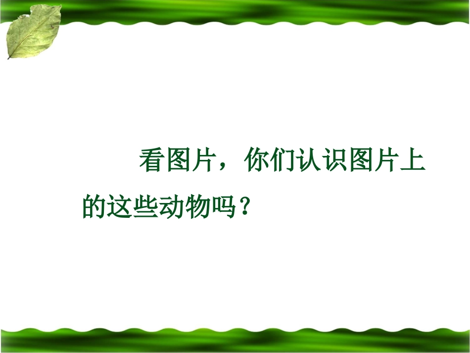 《恐龙的灭绝》教学课件4_第1页