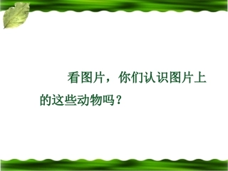 《恐龙的灭绝》教学课件4