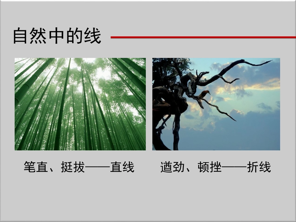 线条的表现力课件_第3页