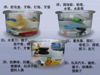 《物体在水中是沉还是浮》课件