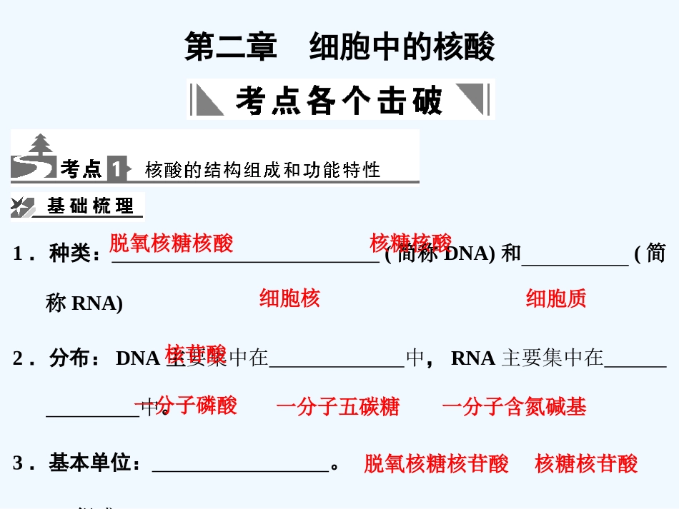 【创新设计】2011届高考生物一轮复习 第2单元 2-2细胞中的核酸课件 中国版必修1_第1页