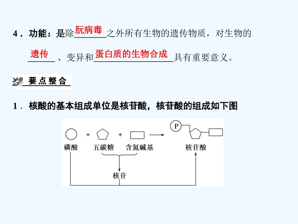 【创新设计】2011届高考生物一轮复习 第2单元 2-2细胞中的核酸课件 中国版必修1_第2页