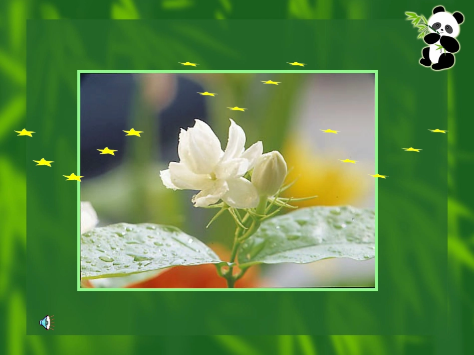 《茉莉花》课件_第2页