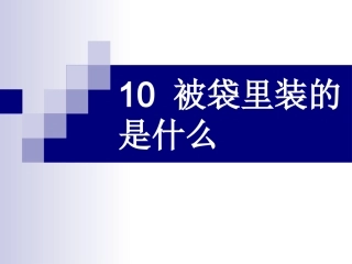被袋里装的是什