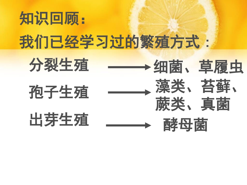 《植物的生殖PPT课件》_第2页