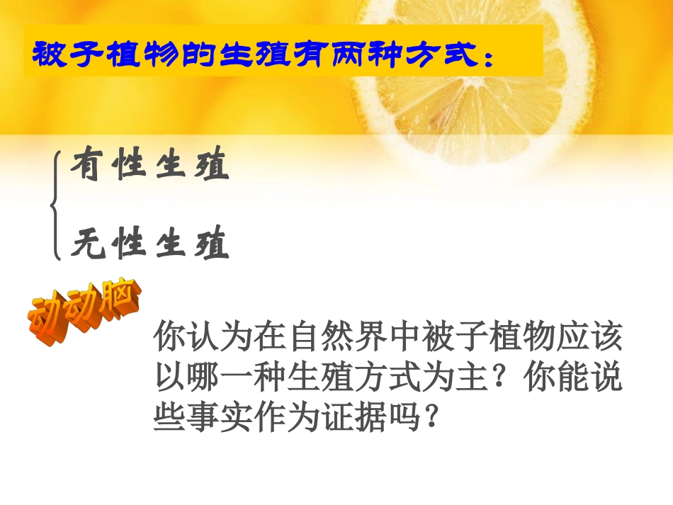 《植物的生殖PPT课件》_第3页