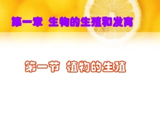 《植物的生殖PPT课件》